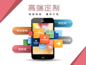 張家口軟件項(xiàng)目外包 打造本地生活服務(wù)平臺的策略與挑戰(zhàn)