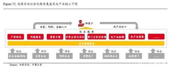 農業科技驅動畜牧漁業飼料革新 第一產業信息化浪潮蓄勢待發