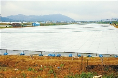 巧用糖水與“棉被” 專(zhuān)家與養(yǎng)殖戶(hù)聯(lián)手，科學(xué)應(yīng)對(duì)寒潮守護(hù)畜禽菜籃